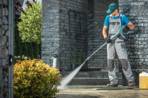 Best Paint Preparation  in Salamanca, NY
